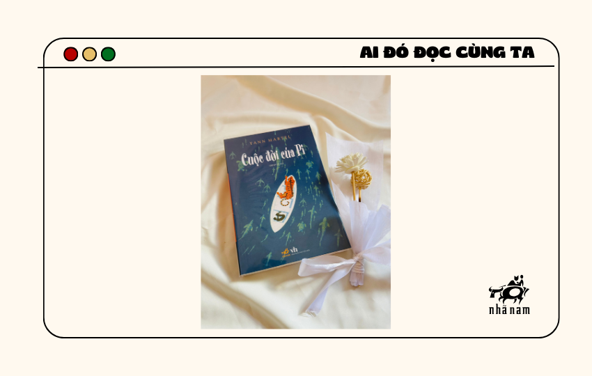 MS212 - Cuộc đời của Pi - Hanah