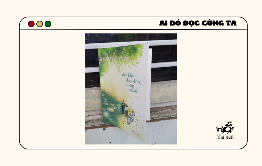 MS239 - Dại khờ, đau đớn, mong manh - Thanh Tuyền