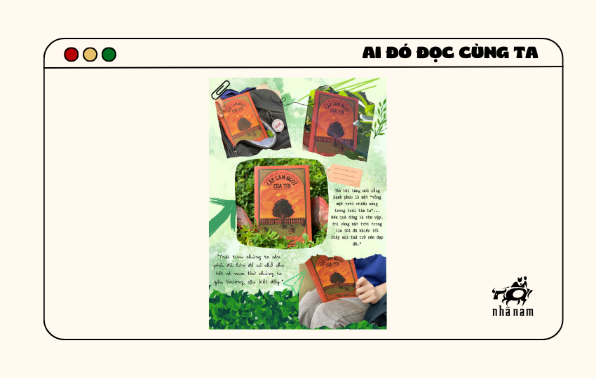 MS247 - Cây cam ngọt của tôi - Popeoliee