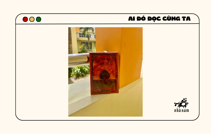 MS334 - Cây cam ngọt của tôi - Phương Nhã