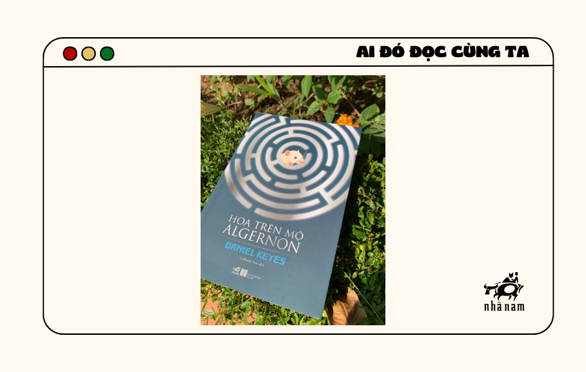 MS417 - Hoa trên mộ Algernon - Thu Huệ