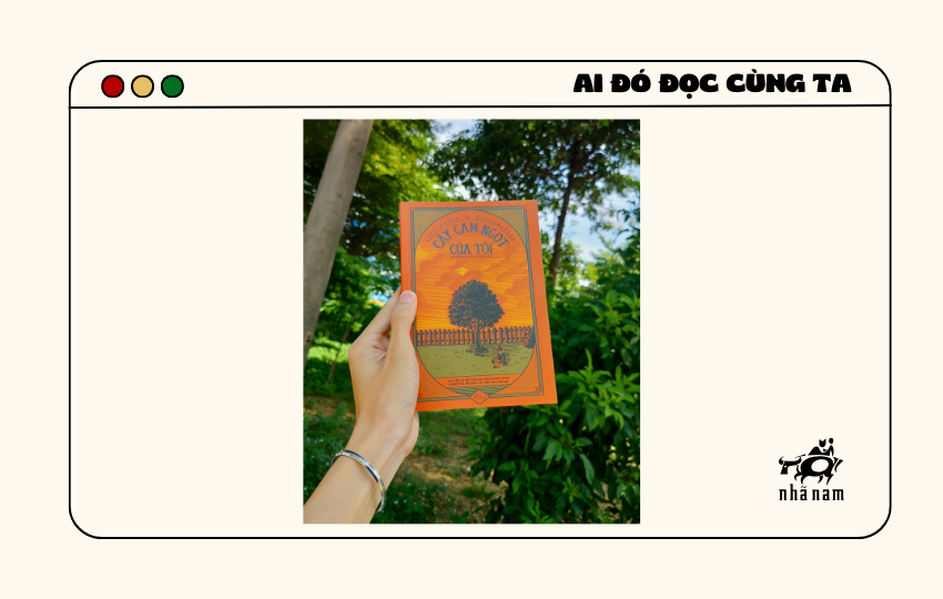 MS422 - Cây cam ngọt của tôi - Minh Trí