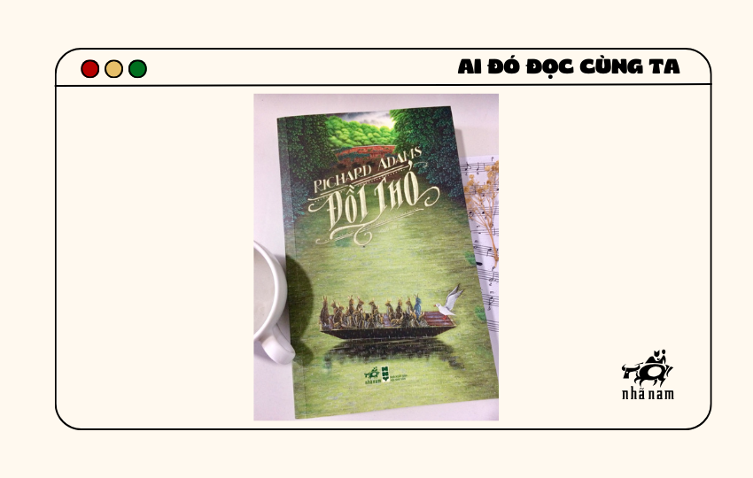 MS465 - Đồi thỏ - Katty