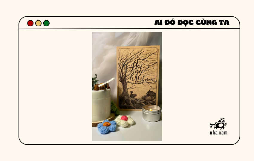 MS504 - Đồi gió hú - tnak