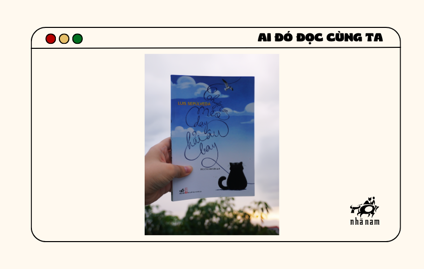 MS545 - Chuyện con mèo dạy hải âu bay - Minh Daisy