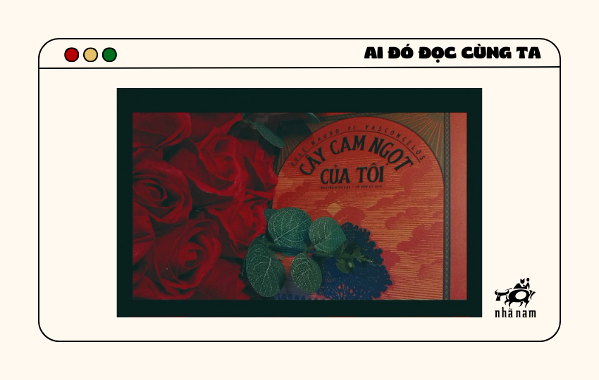 MS004 - Cây cam ngọt của tôi - Nguyễn Minh Thư