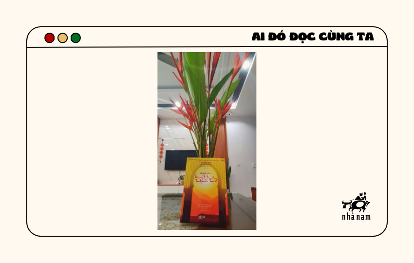 MS147 - Ngàn mặt trời rực rỡ - CÔNG ĐỨC