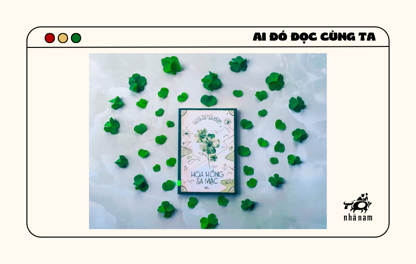 MS151 - Hoa hồng sa mạc - Bảo
