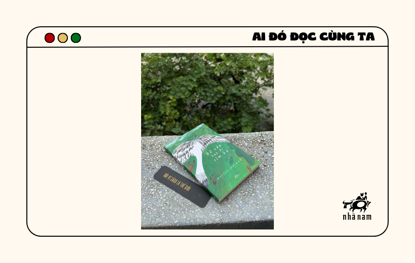 MS105 - Bồ câu bay đi tìm bà - Phạm Như Nguyện