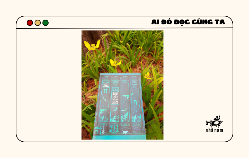 MS038 - Thư viện nửa đêm - Ngọc Anh