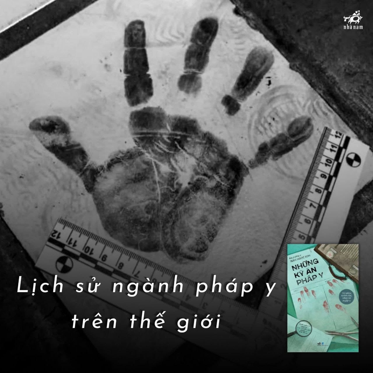 🫆 LỊCH SỬ NGÀNH PHÁP Y TRÊN THẾ GIỚI 🫆