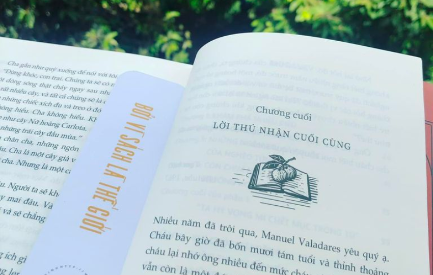 Review sách: CÂY CAM NGỌT CỦA TÔI – José Mauro de Vasconcelos