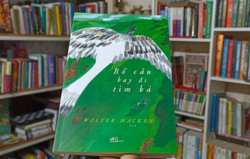 Review sách: BỒ CÂU BAY ĐI TÌM BÀ – Walter Macken