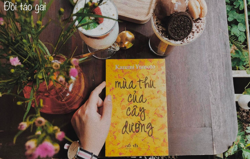 Review sách: MÙA THU CỦA CÂY DƯƠNG – Kazumi Yumoto