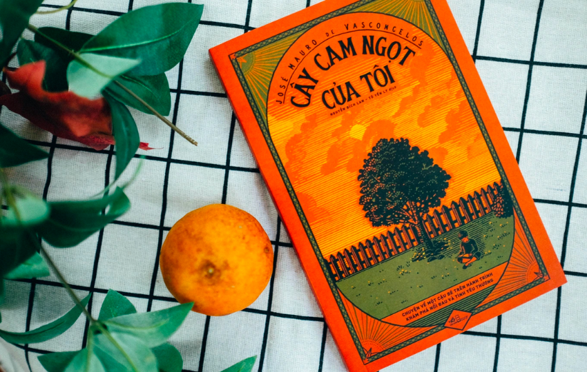 Cây cam ngọt của tôi: Khi một cậu bé khám phá nỗi đau và tình yêu thương