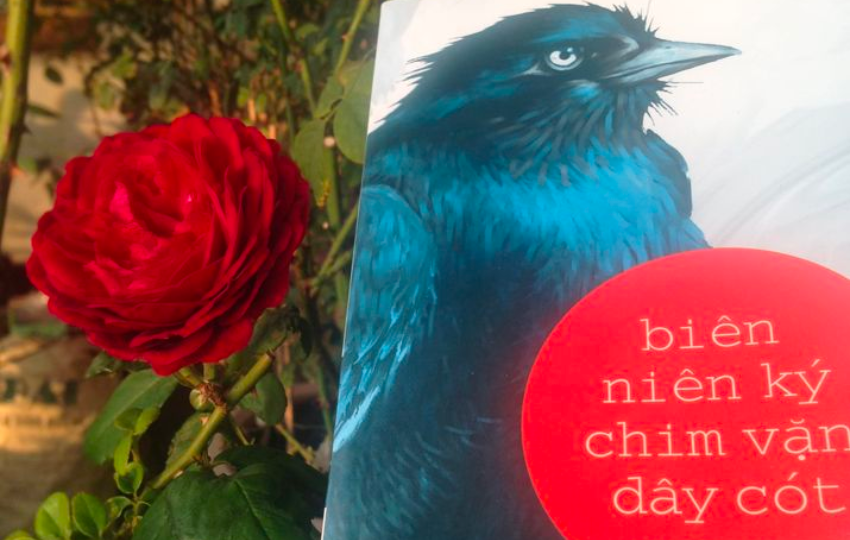 Review sách: BIÊN NIÊN KÝ CHIM VẶN DÂY CÓT – Haruki Murakami