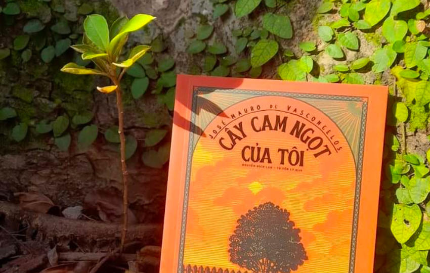 Review sách: CÂY CAM NGỌT CỦA TÔI – José Mauro de Vasconcelos