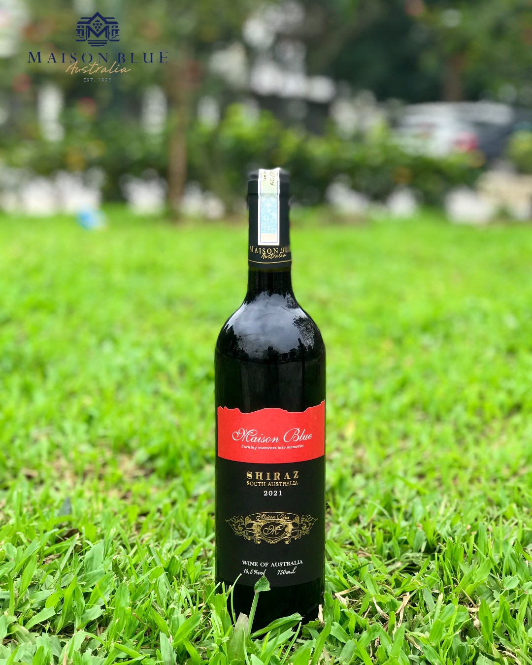 Maison Blue Shiraz