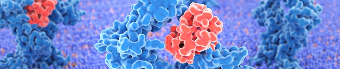 Tổng hợp protein