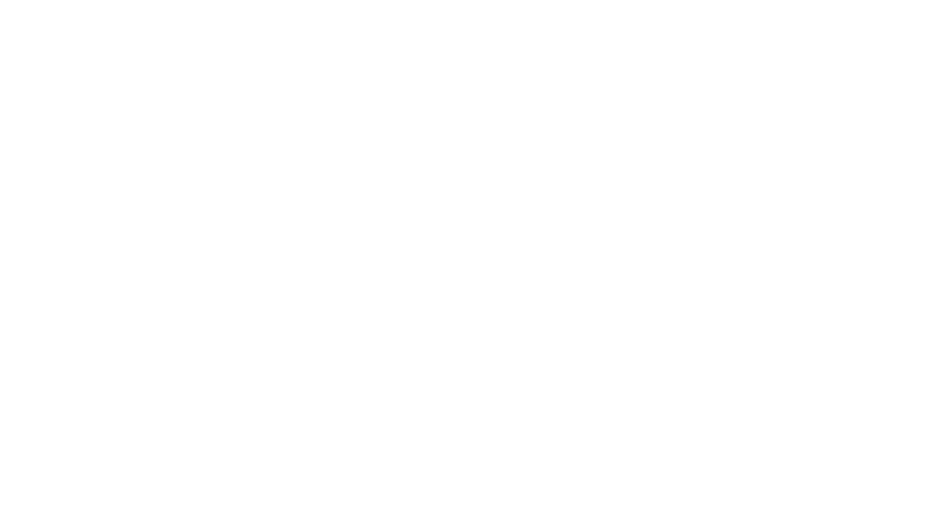 logo STEFANNI