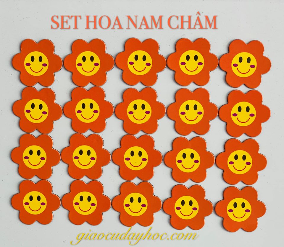 Set Bông Hoa Nam Châm
