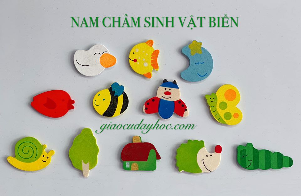 Bộ Nam Châm Sinh Vật Biển