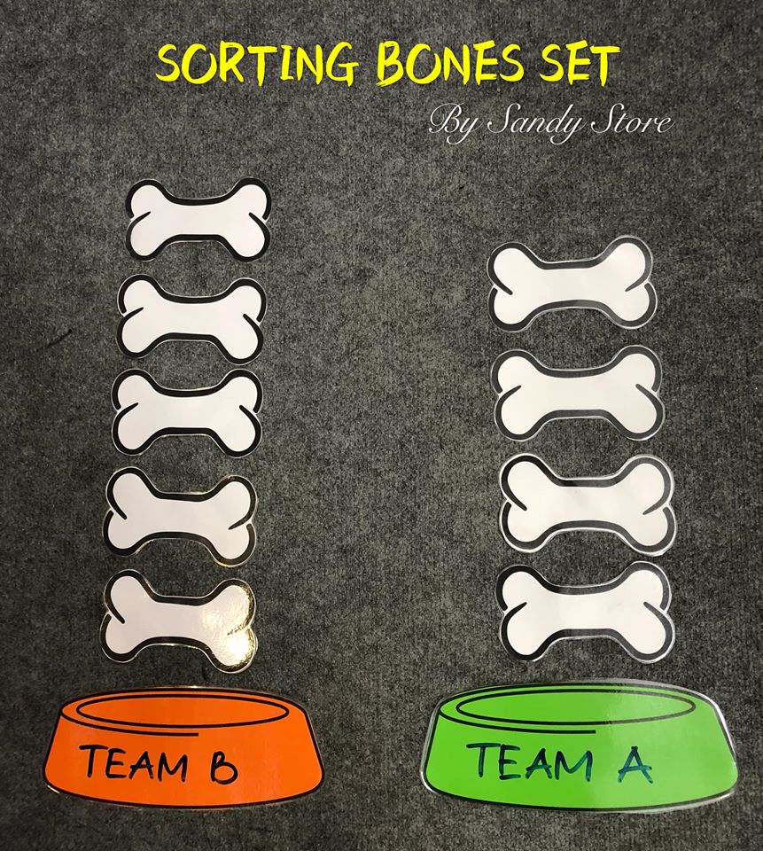 🐶🐶🐶 SORTING BONES SET 🐶🐶🐶