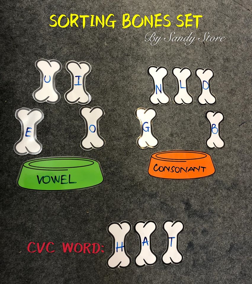 🐶🐶🐶 SORTING BONES SET 🐶🐶🐶