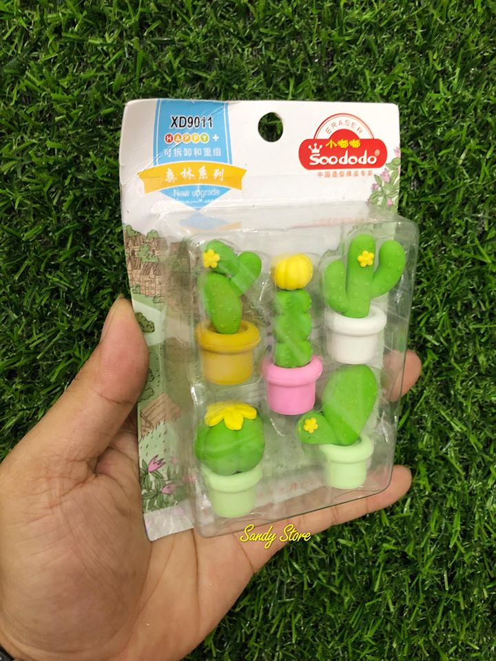 Set Tẩy Xương Rồng