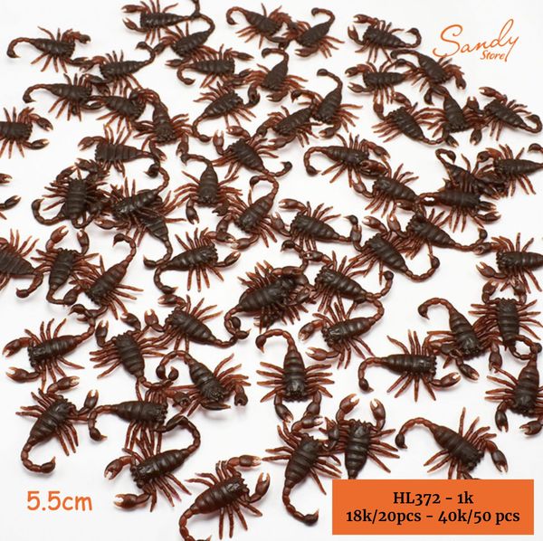 HL372 - Thú Nhí - Bọ Cạp
