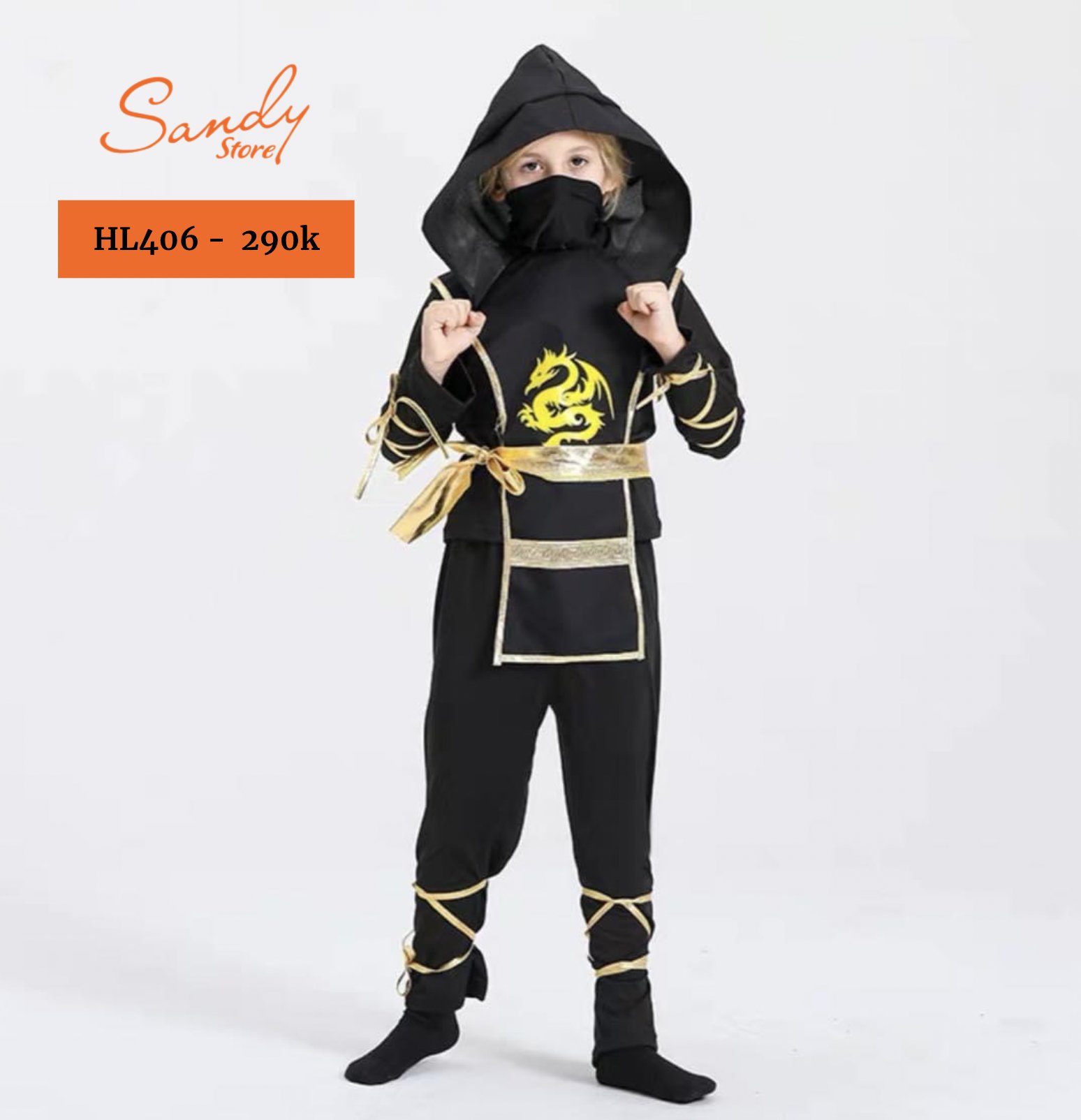 HL406 - Bộ Ninja Rồng