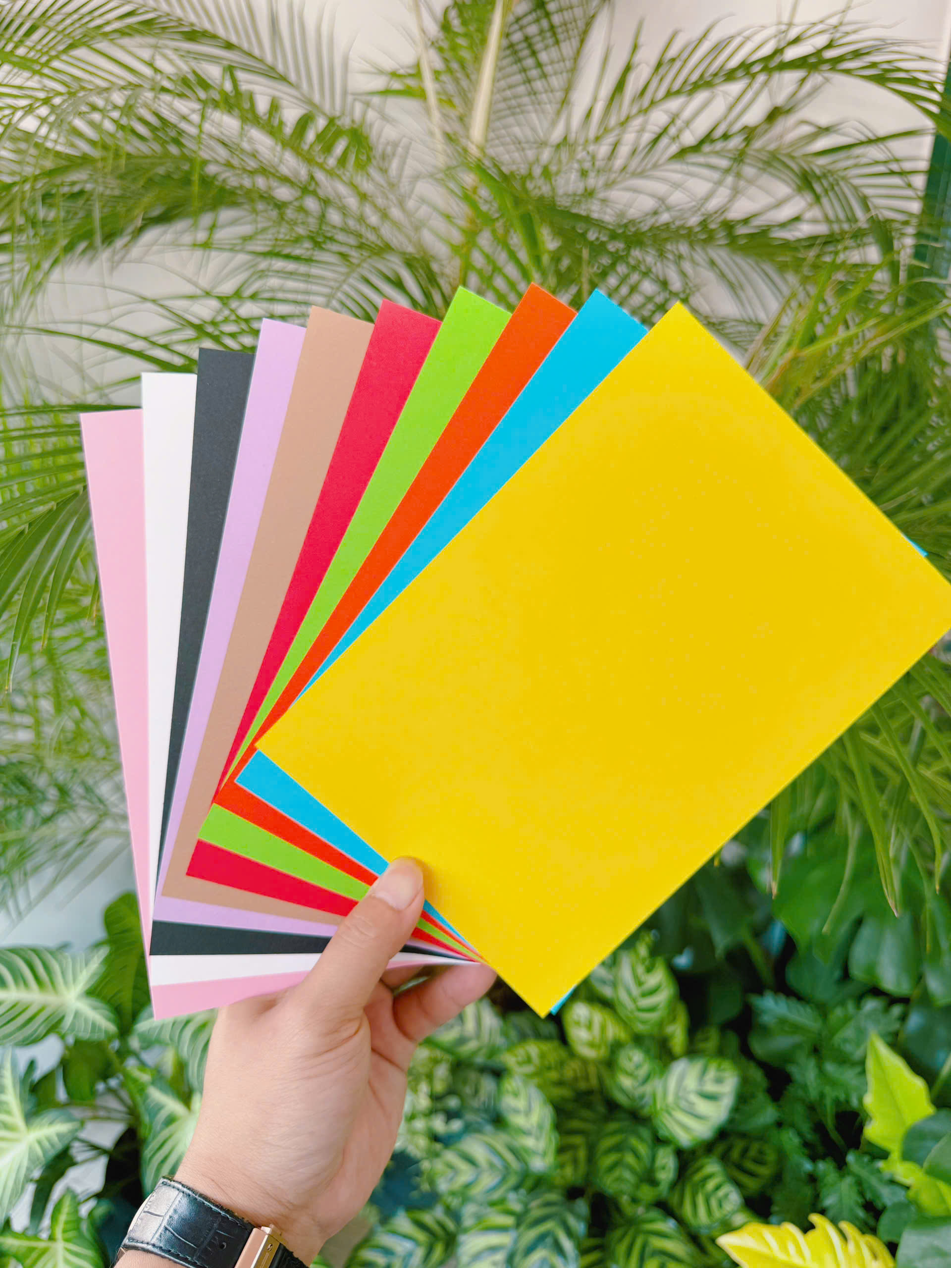 Bộ Magic Colours Cards