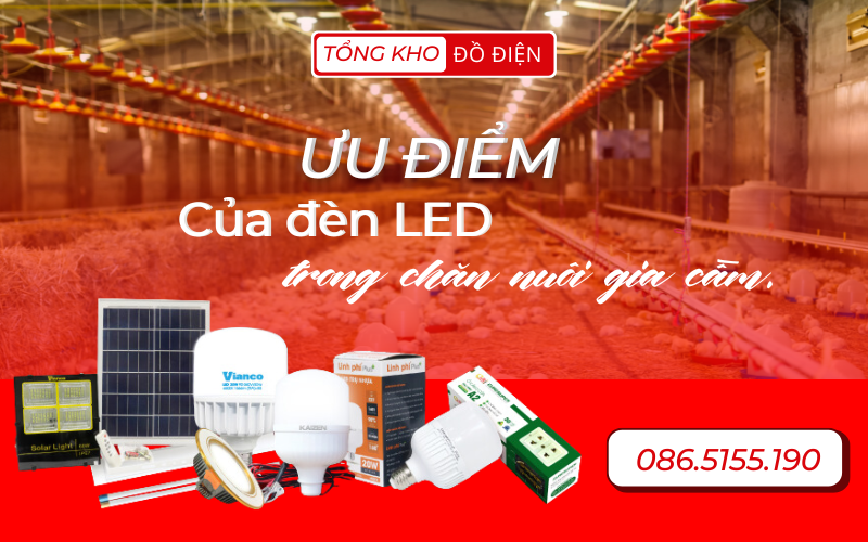 Ưu điểm của đèn LED trong chăn nuôi gia cầm.