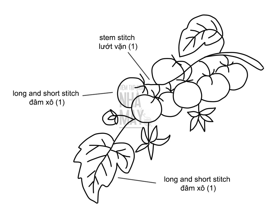 Hướng dẫn phối màu cam đỏ thêu cành cà chua trĩu quả (có mẫu in)
