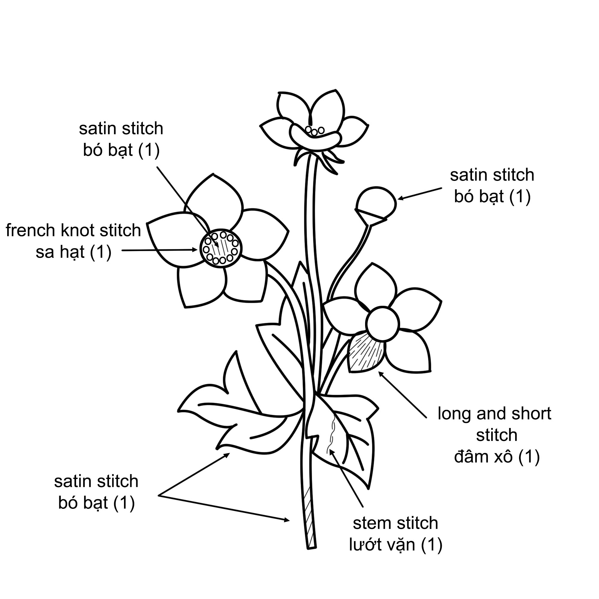 Tập thêu mũi đâm xô bằng mẫu hoa căn bản