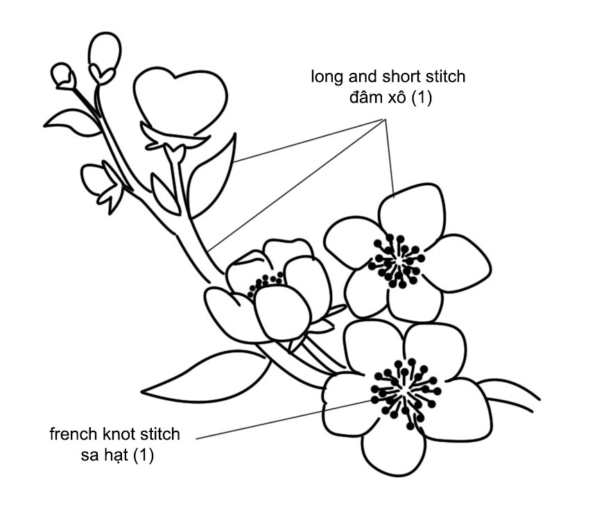 Hình Vẽ Hoa Anh Đào Cách Vẽ Hoa Anh Đào Đẹp Thích Mê  TH PHỤNG THƯỢNG