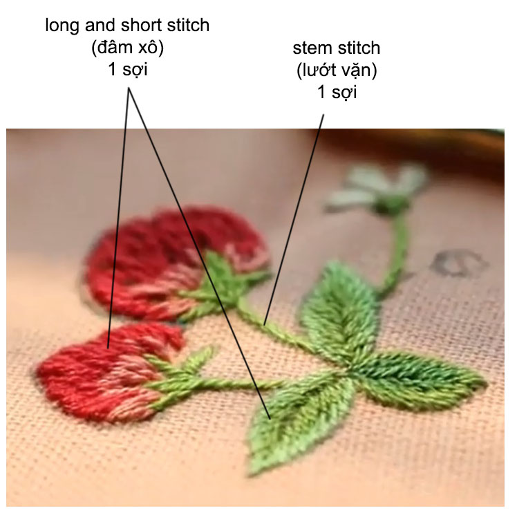 Hướng dẫn và ứng dụng mũi thêu đâm xô (Long & Short Stitch)