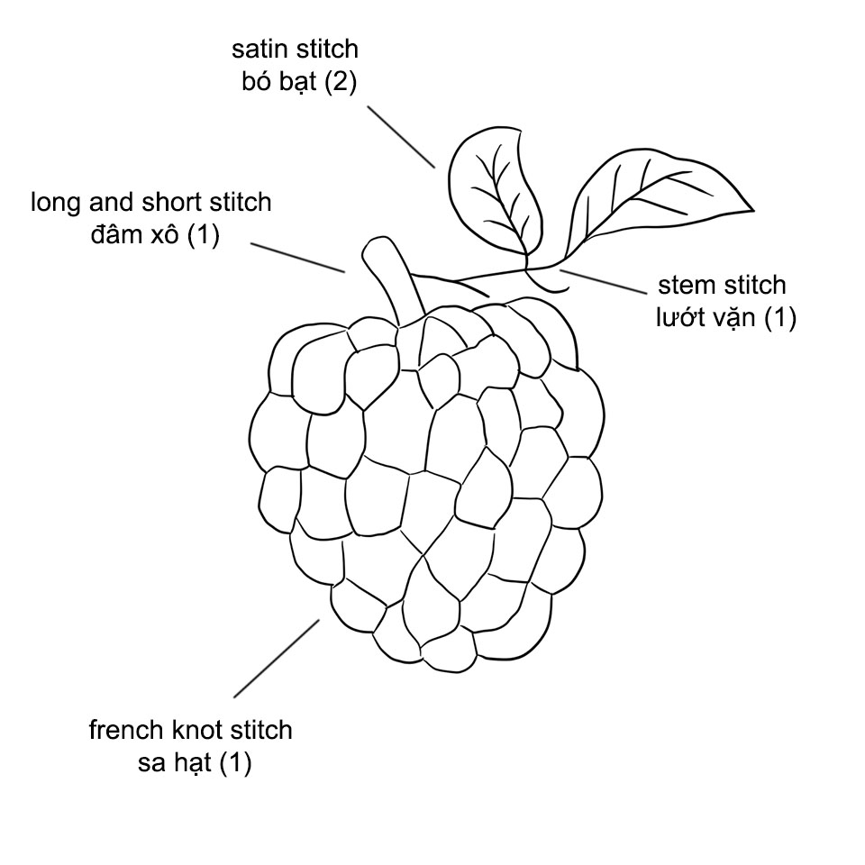 Hướng dẫn vẽ quả na  How to draw a Custard Apple  Drawing Tutorials   YouTube