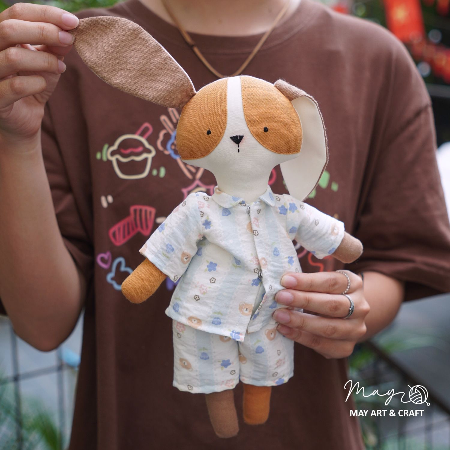 Combo chó nâu chăm học