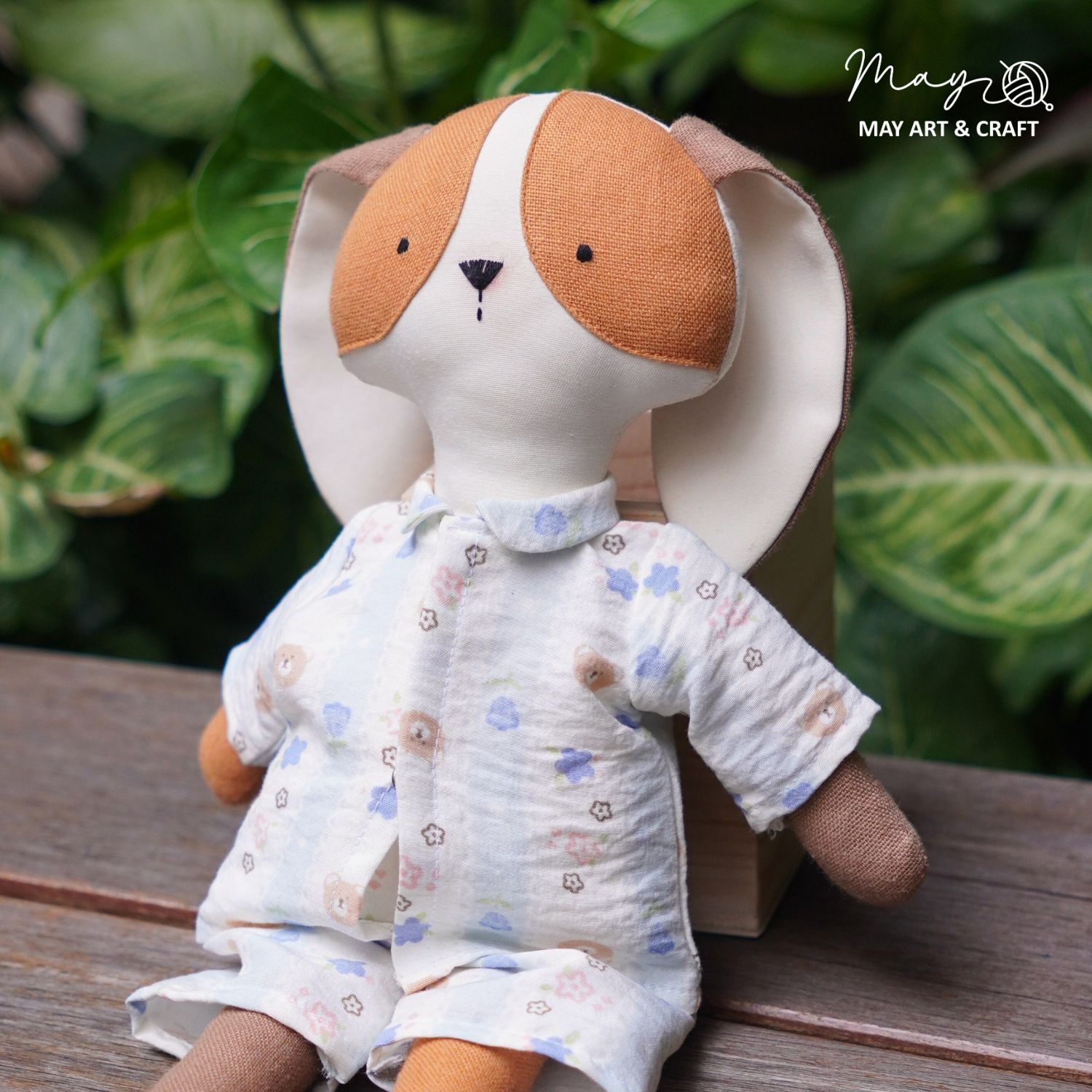 Combo chó nâu chăm học