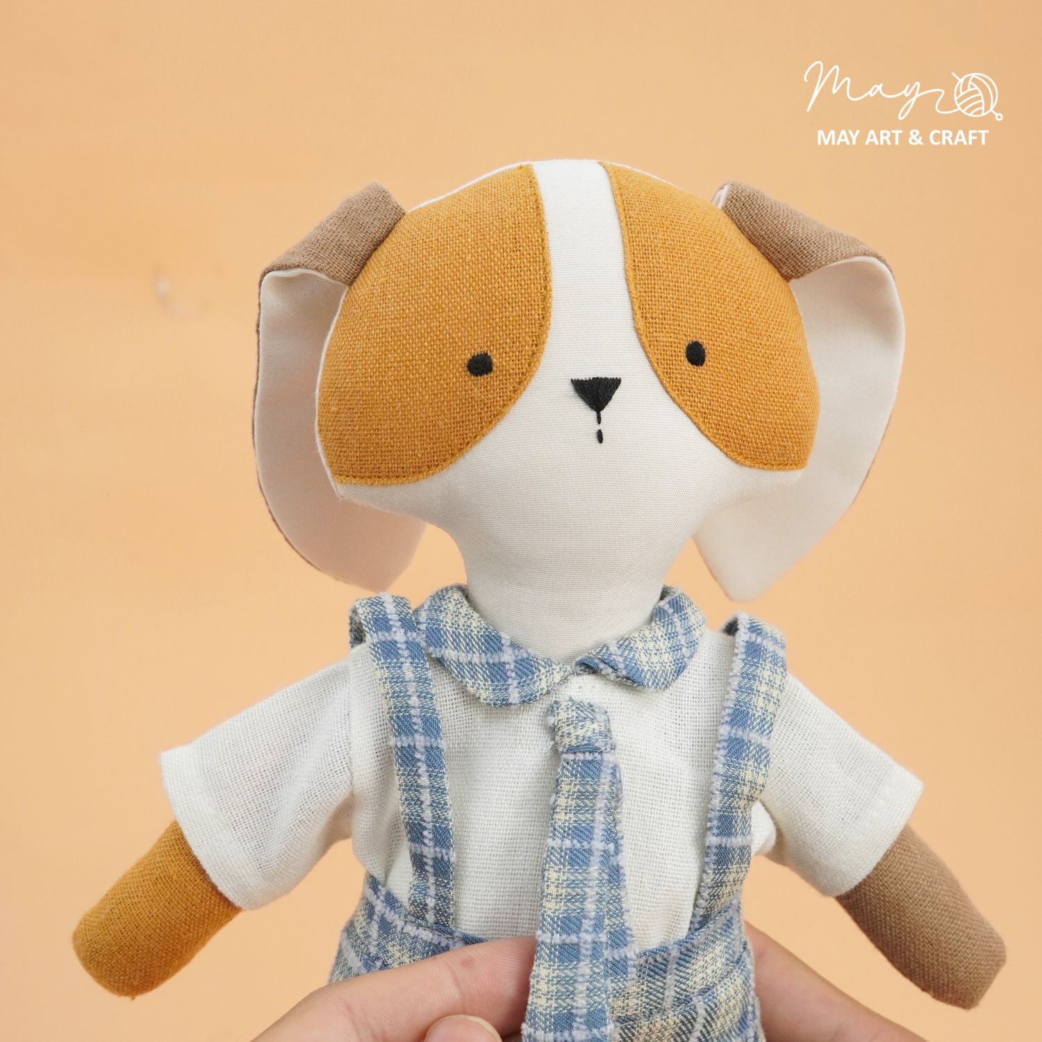 Combo chó nâu chăm học