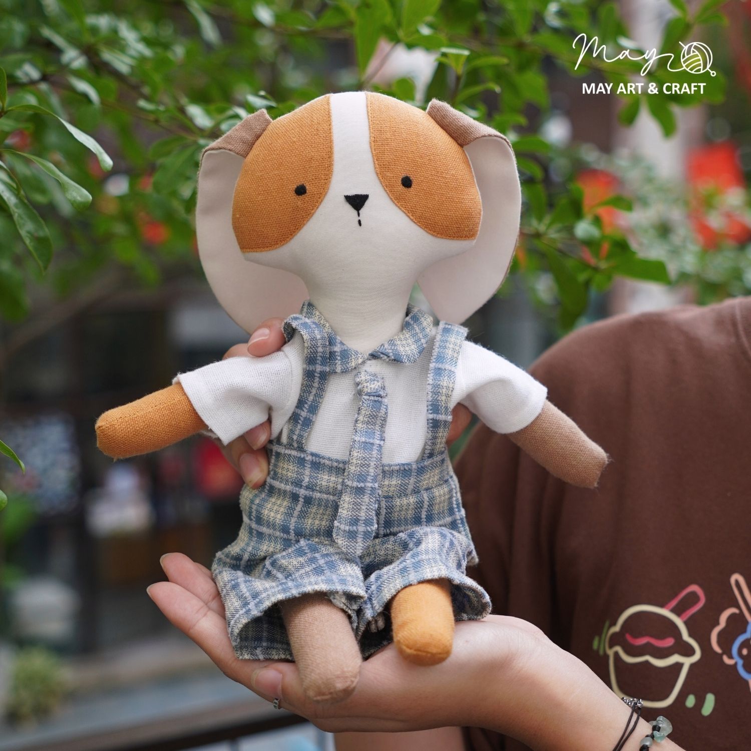 Combo chó nâu chăm học