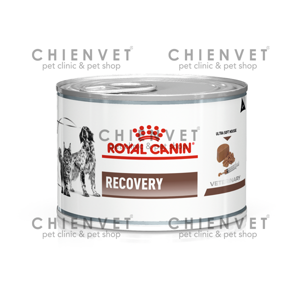 Royal Canin Recovery 195g Pate hồi phục sức khoẻ cho chó mèo