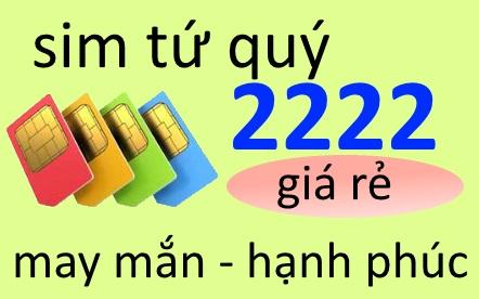 Lý giải nguyên nhân đại gia săn lùng sim tứ quý theo phong thuỷ để đổi vận.