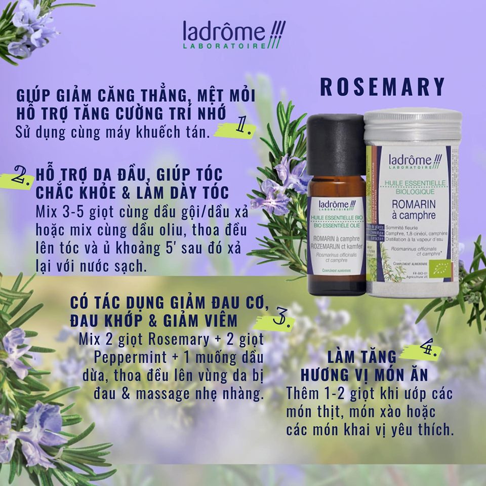 BẠN CÓ BIẾT NHÓM TINH DẦU HỮU CƠ HƯƠNG THẢO MỘC? BẠN CÓ BIẾT NHÓM TINH DẦU HỮU CƠ HƯƠNG THẢO MỘC?