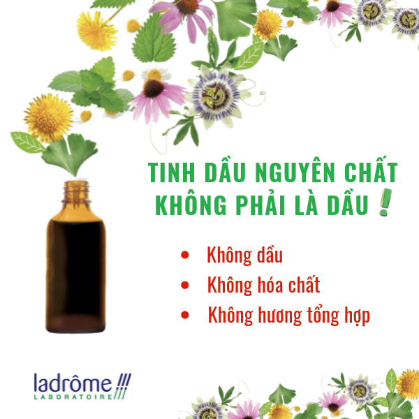 TINH DẦU NGUYÊN CHẤT KHÔNG PHẢI LÀ DẦU!