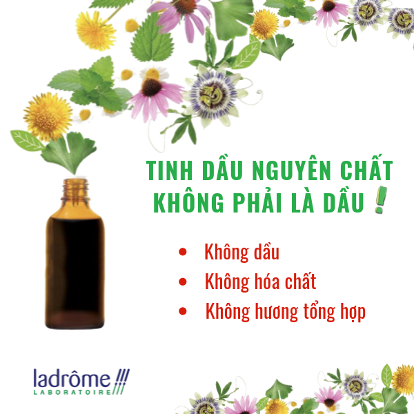 TINH DẦU NGUYÊN CHẤT KHÔNG PHẢI LÀ DẦU! TINH DẦU NGUYÊN CHẤT KHÔNG PHẢI LÀ DẦU!