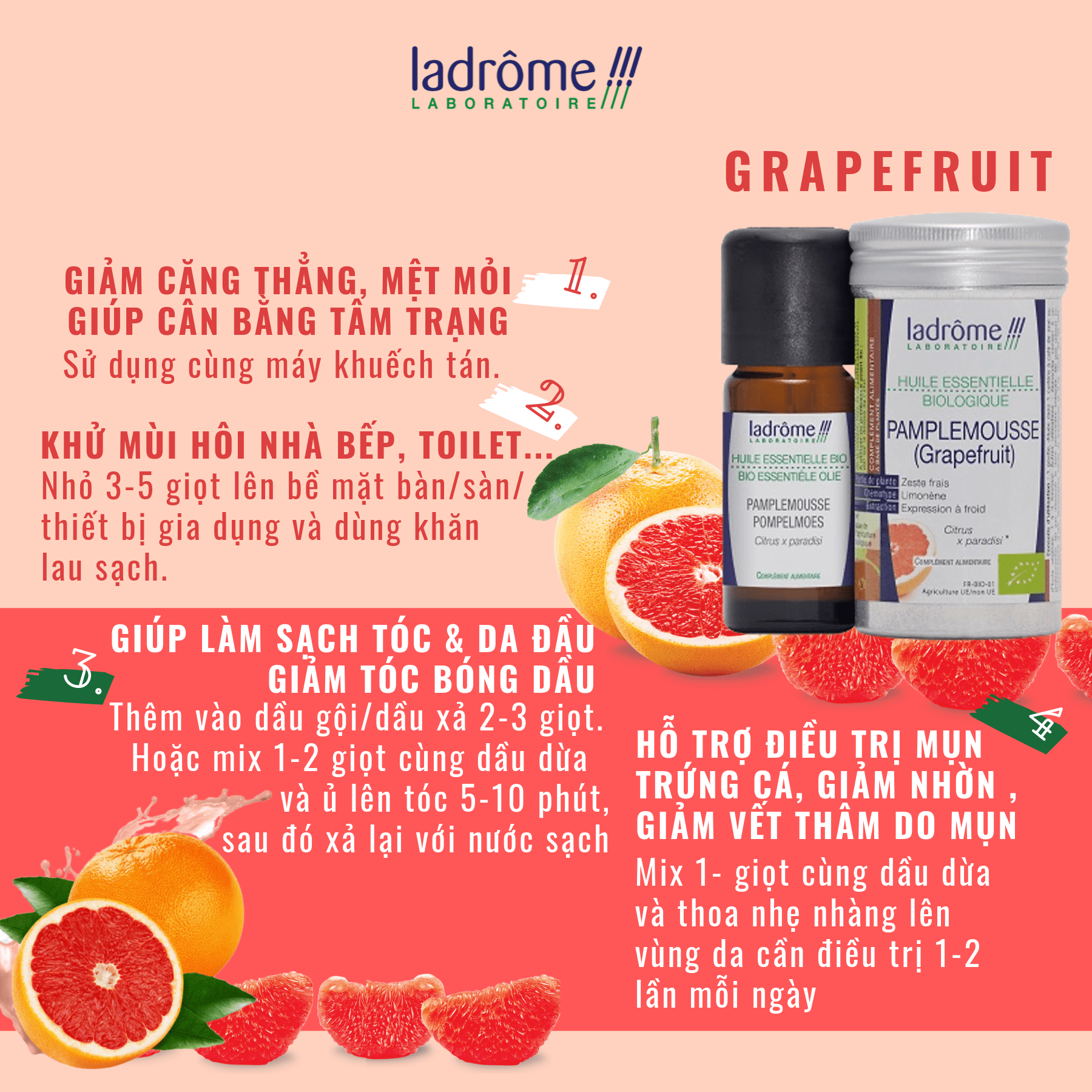 4 LOẠI TINH DẦU HỮU CƠ HƯƠNG TRÁI CÂY ĐƯỢC YÊU THÍCH NHẤT! 4 LOẠI TINH DẦU HỮU CƠ HƯƠNG TRÁI CÂY ĐƯỢC YÊU THÍCH NHẤT!