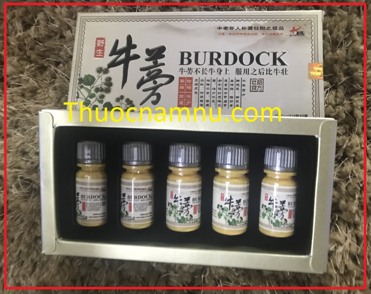 CD6788 Cường Dương Trùng Thảo ,Ngưu Bàng BURDOCK