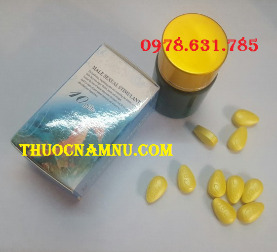 CD196 Cường Dương & Kéo Dài Cuộc ChiếnSeaHorse